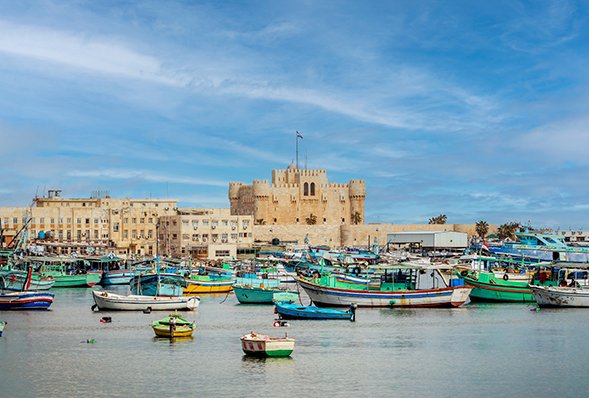 Alexandria Full Day Historical Tour